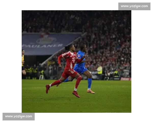 凯恩 10 场进球纪录终结，拜仁 3-0 破门兴