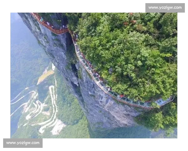 尚马开跑!万人踏福畅跑江南秋 尚马开跑!万人踏福畅跑江南秋