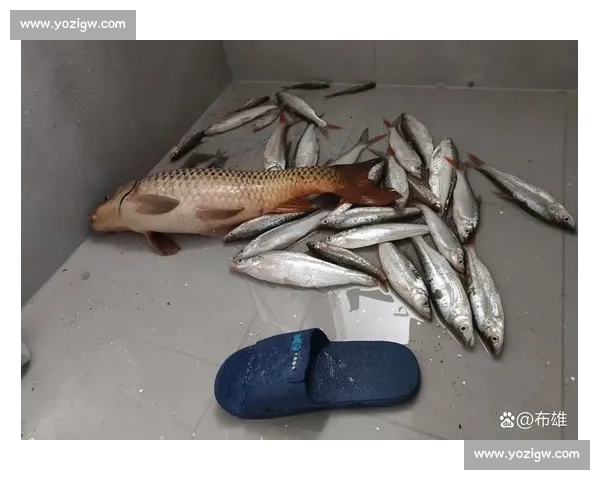 大爷钓起金黄大鱼,围观者哇声一片:这鱼值两万? 大爷钓起金黄大鱼,围观者哇声一片:这鱼值两万?